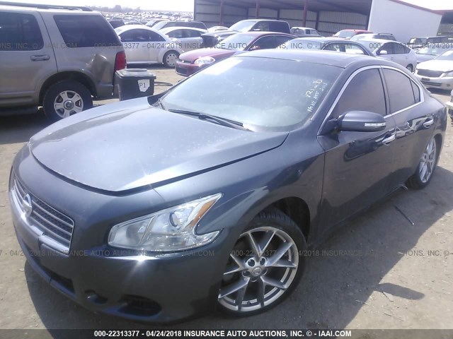 1N4AA5AP3AC821285 - 2010 NISSAN MAXIMA S/SV GRAY photo 2