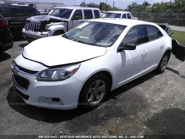 1G11B5SL6EF206567 - 2014 CHEVROLET MALIBU LS 白色 照片 2