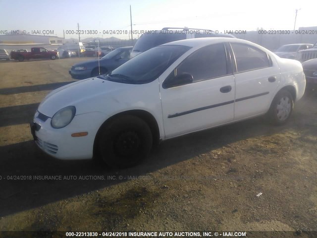 1B3ES26C93D194149 - 2003 DODGE NEON SE WHITE photo 2