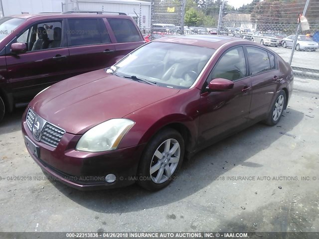 1N4BA41E26C824490 - 2006 NISSAN MAXIMA SE/SL RED photo 2