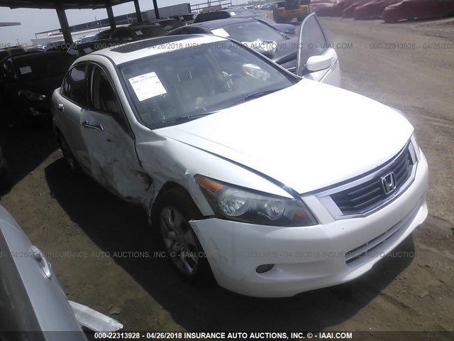 1HGCP36818A033278 - 2008 HONDA ACCORD EXL WHITE photo 1