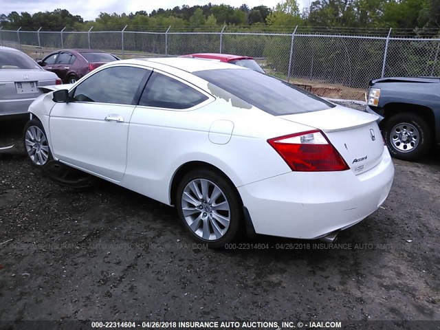 1HGCS22869A003578 - 2009 HONDA ACCORD EXL WHITE photo 3