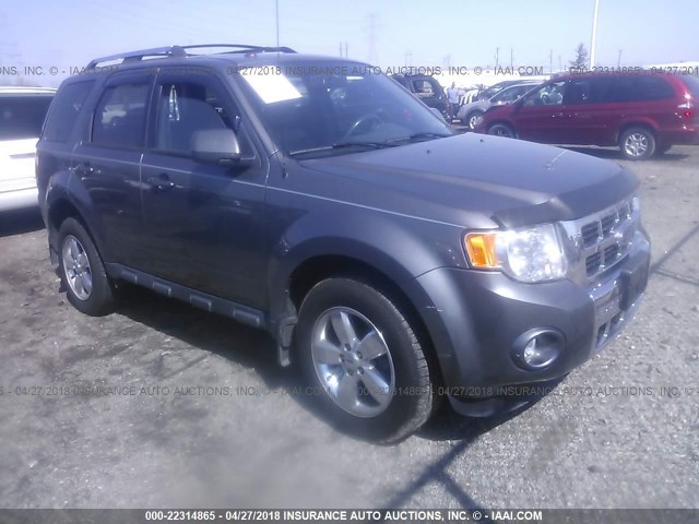 1FMCU0EG6AKA53729 - 2010 FORD ESCAPE LIMITED GRAY photo 1