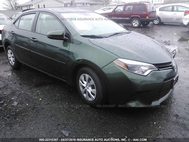 2T1BPRHEXEC146282 - 2014 TOYOTA COROLLA ECO/ECO PLUS/ECO PREMIUM GREEN photo 1