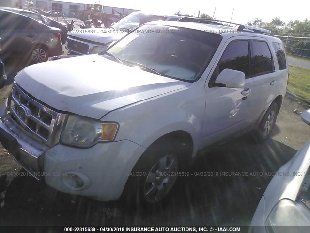 1FMCU0EG4AKA86969 - 2010 FORD ESCAPE LIMITED WHITE photo 2