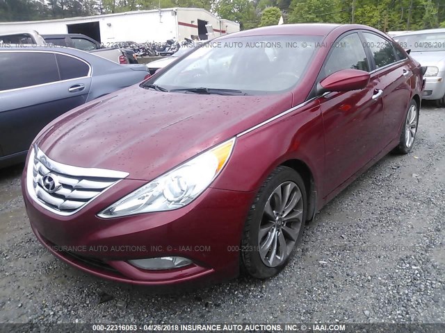 5NPEC4AC5CH437013 - 2012 HYUNDAI SONATA SE/LIMITED RED photo 2