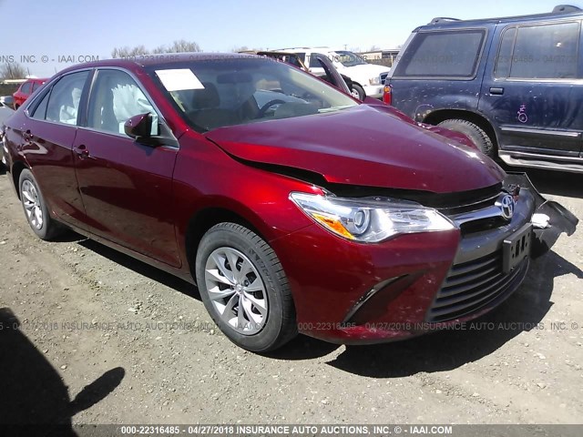 4T1BF1FK6HU653759 - 2017 TOYOTA CAMRY LE/XLE/SE/XSE MAROON photo 1