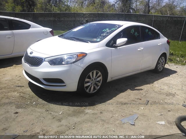 KNAFX4A68E5153328 - 2014 KIA FORTE LX WHITE photo 2