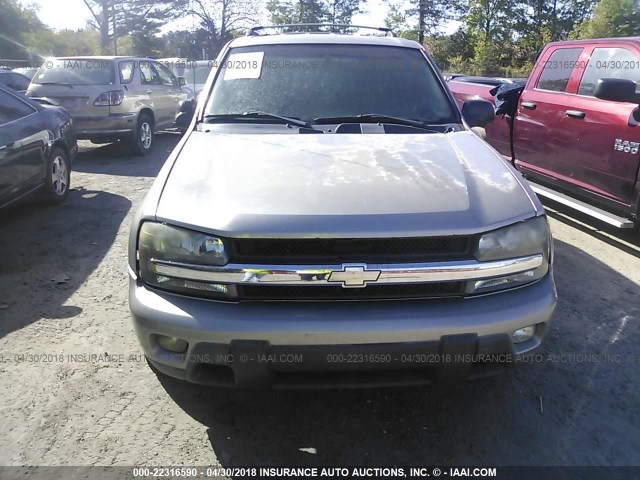 1GNDS13S232337445 - 2003 CHEVROLET TRAILBLAZER  GRAY photo 6