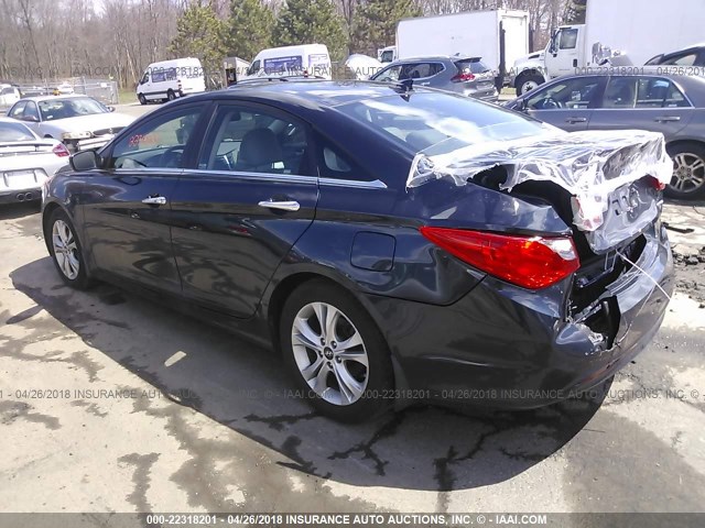 5NPEC4AC0DH528689 - 2013 HYUNDAI SONATA SE/LIMITED BLUE photo 3