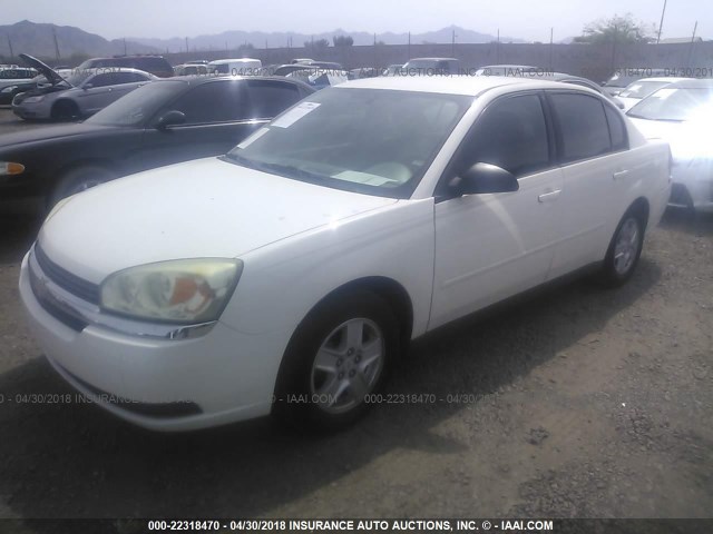 1G1ZT54824F130479 - 2004 CHEVROLET MALIBU LS 白色 照片 2