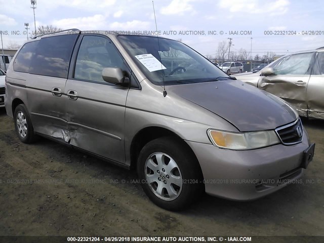 5FNRL18984B032001 - 2004 HONDA ODYSSEY EXL GOLD photo 1