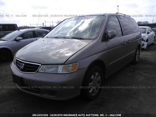 5FNRL18984B032001 - 2004 HONDA ODYSSEY EXL GOLD photo 2