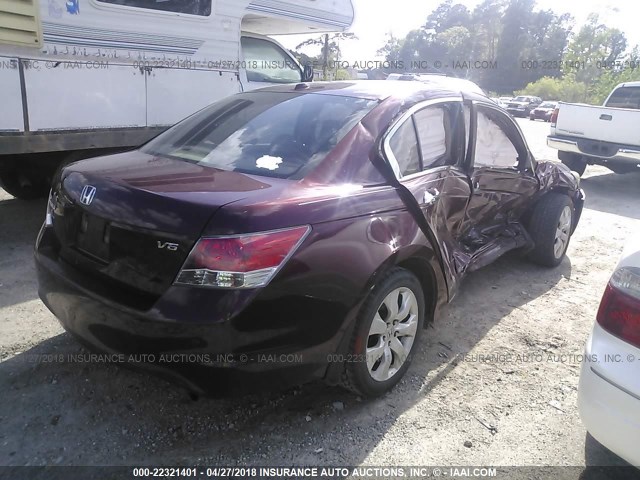 1HGCP36819A041480 - 2009 HONDA ACCORD EXL BURGUNDY photo 4