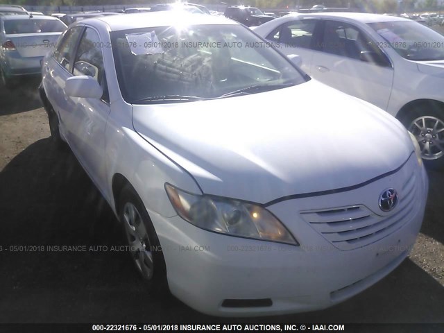4T1BE46K99U917174 - 2009 TOYOTA CAMRY SE/LE/XLE WHITE photo 1