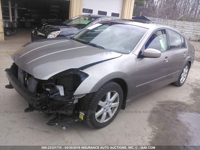 1N4BA41E05C838015 - 2005 NISSAN MAXIMA SE/SL TAN photo 2