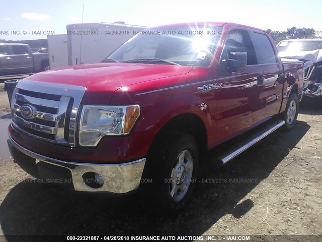 1FTFW1EF2BKD31455 - 2011 FORD F150 SUPERCREW RED photo 2