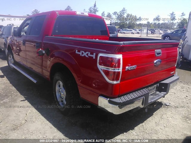 1FTFW1EF2BKD31455 - 2011 FORD F150 SUPERCREW RED photo 3