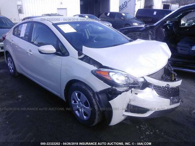 KNAFK4A67E5139287 - 2014 KIA FORTE LX WHITE photo 1