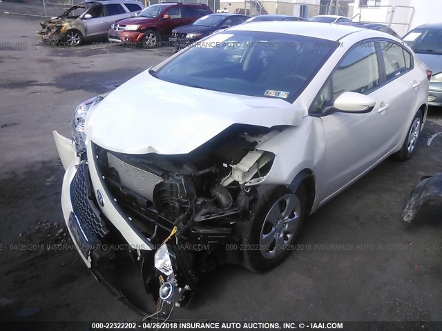 KNAFK4A67E5139287 - 2014 KIA FORTE LX WHITE photo 2