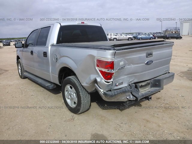 1FTFW1CF1DKE16387 - 2013 FORD F150 SUPERCREW SILVER photo 3