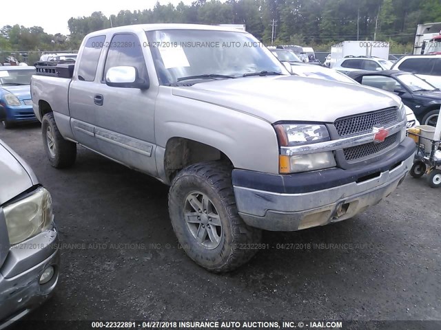 1GCEK19TX4Z278196 - 2004 CHEVROLET SILVERADO K1500 SILVER photo 1