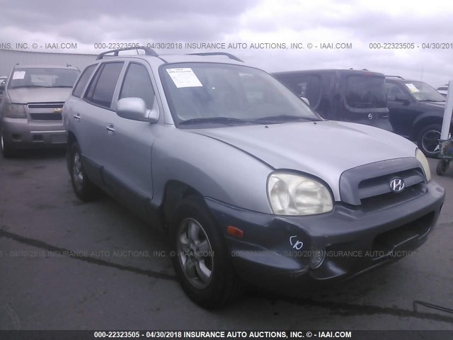 KM8SC13E95U010311 - 2005 HYUNDAI SANTA FE GLS/LX SILVER photo 1