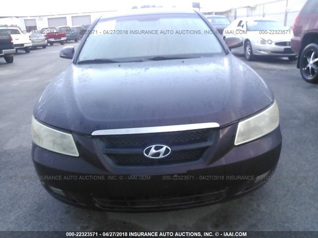 KMHEU46C96A076172 - 2006 HYUNDAI SONATA GLS/LX PURPLE photo 6