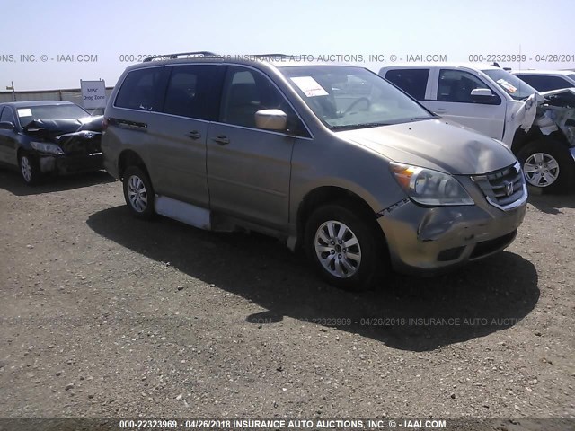 5FNRL38668B022090 - 2008 HONDA ODYSSEY EXL ოქროსფერი ფოტო 1