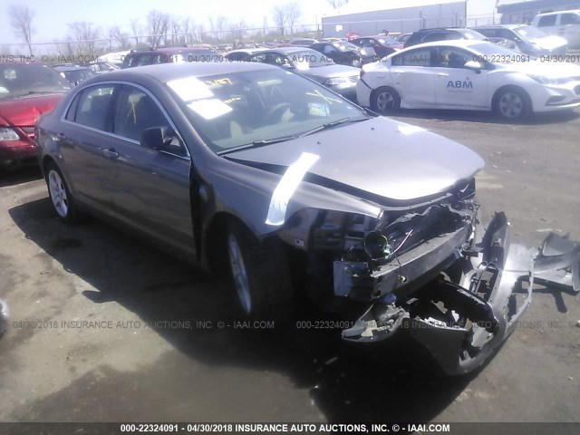1G1ZB5EB4AF246100 - 2010 CHEVROLET MALIBU LS 灰色 照片 1