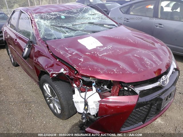 4T1BF1FK0GU515620 - 2016 TOYOTA CAMRY LE/XLE/SE/XSE RED photo 1