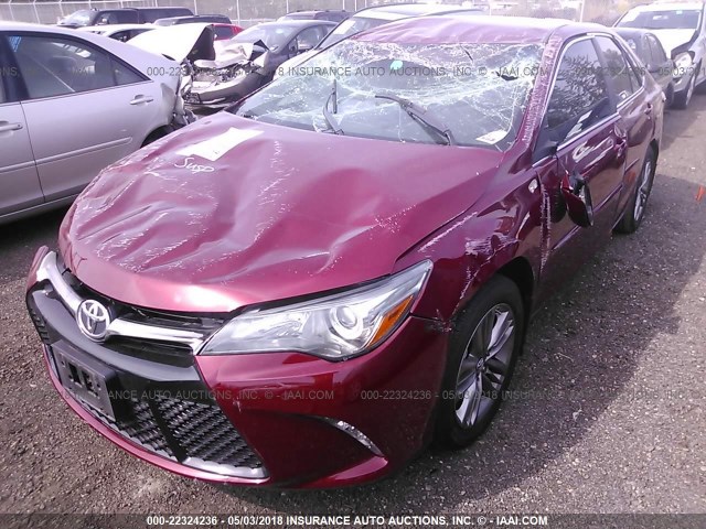4T1BF1FK0GU515620 - 2016 TOYOTA CAMRY LE/XLE/SE/XSE RED photo 2