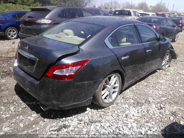 1N4AA5APXAC811613 - 2010 NISSAN MAXIMA S/SV GRAY photo 4