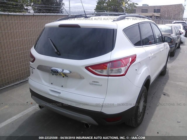 1FMCU0H91DUB23966 - 2013 FORD ESCAPE SEL WHITE photo 4