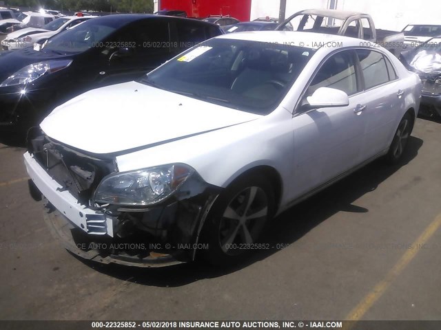 1G1ZC5E0XCF306587 - 2012 CHEVROLET MALIBU 1LT 白色 照片 2