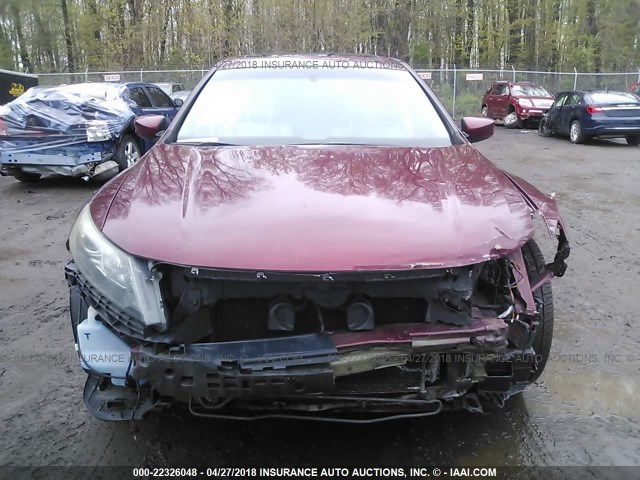 5J6TF1H51AL005462 - 2010 HONDA ACCORD CROSSTOUR EXL RED photo 6