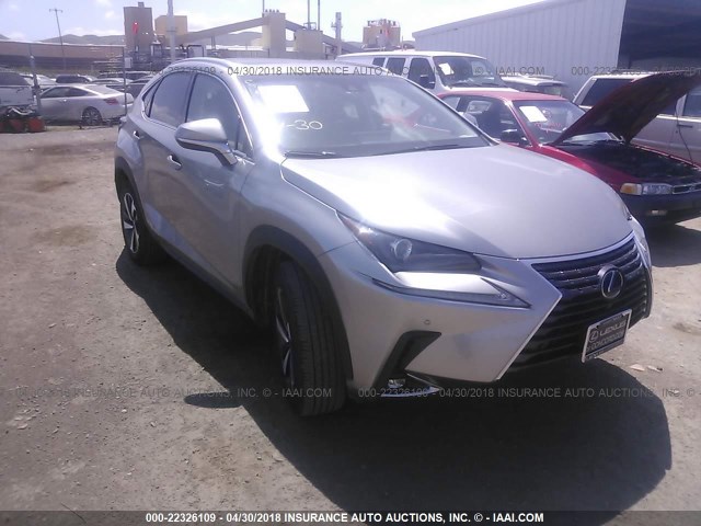 JTJBJRBZ1J2081468 - 2018 LEXUS NX 300H SILVER photo 1