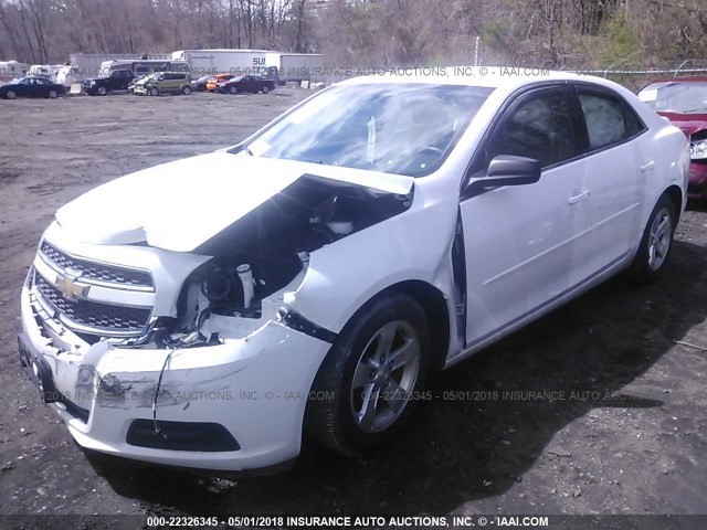 1G11A5SA9DF178036 - 2013 CHEVROLET MALIBU LS 白色 照片 2