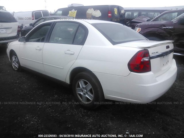 1G1ZT54885F126275 - 2005 CHEVROLET MALIBU LS 白色 照片 3