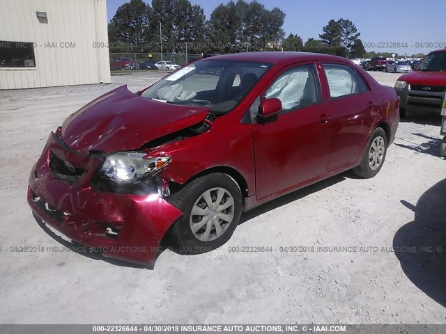 JTDBL40E69J010090 - 2009 TOYOTA COROLLA LE/XLE RED photo 2
