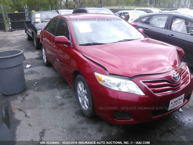 4T4BF3EK9BR101568 - 2011 TOYOTA CAMRY SE/LE/XLE RED photo 1