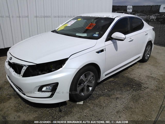 KNAGM4ADXE5066459 - 2014 KIA OPTIMA HYBRID WHITE photo 2