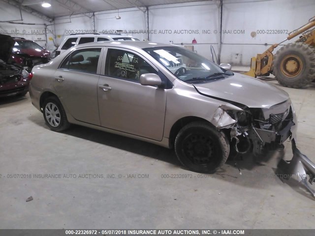 2T1BU40E39C138084 - 2009 TOYOTA COROLLA S/LE/XLE GOLD photo 1