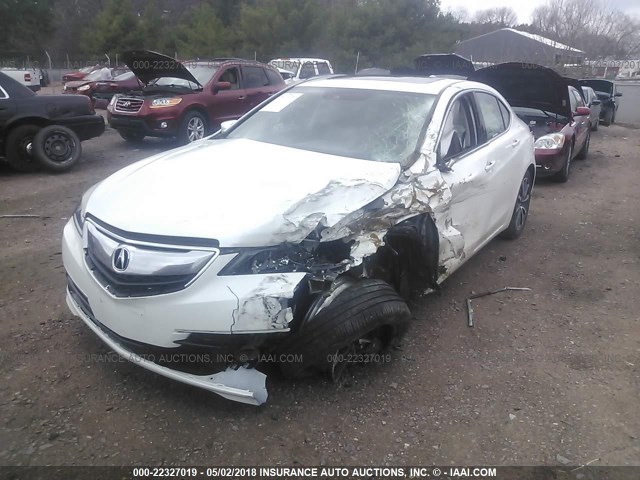 19UUB3F53FA001910 - 2015 ACURA TLX TECH WHITE photo 2