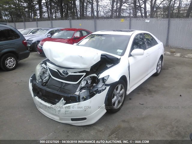 4T1BE46K09U856474 - 2009 TOYOTA CAMRY SE/LE/XLE WHITE photo 2