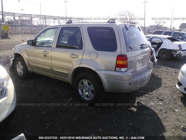 1FMYU94197KA49366 - 2007 FORD ESCAPE LIMITED TAN photo 3