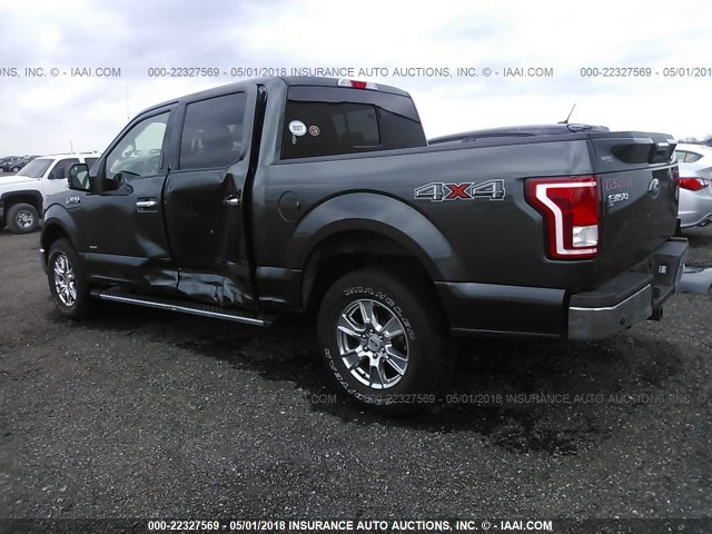 1FTEW1EP7FKD79124 - 2015 FORD F150 SUPERCREW GREEN photo 3