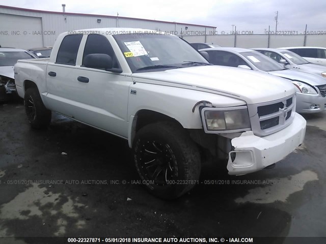 1D3HW38PX9S789531 - 2009 DODGE DAKOTA SXT WHITE photo 1