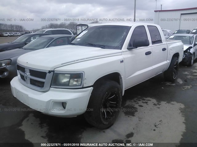 1D3HW38PX9S789531 - 2009 DODGE DAKOTA SXT WHITE photo 2