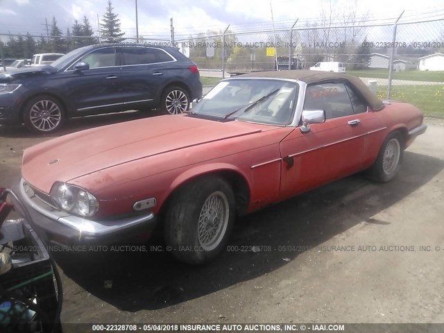 SAJNV4843KC161869 - 1989 JAGUAR XJS RED photo 2